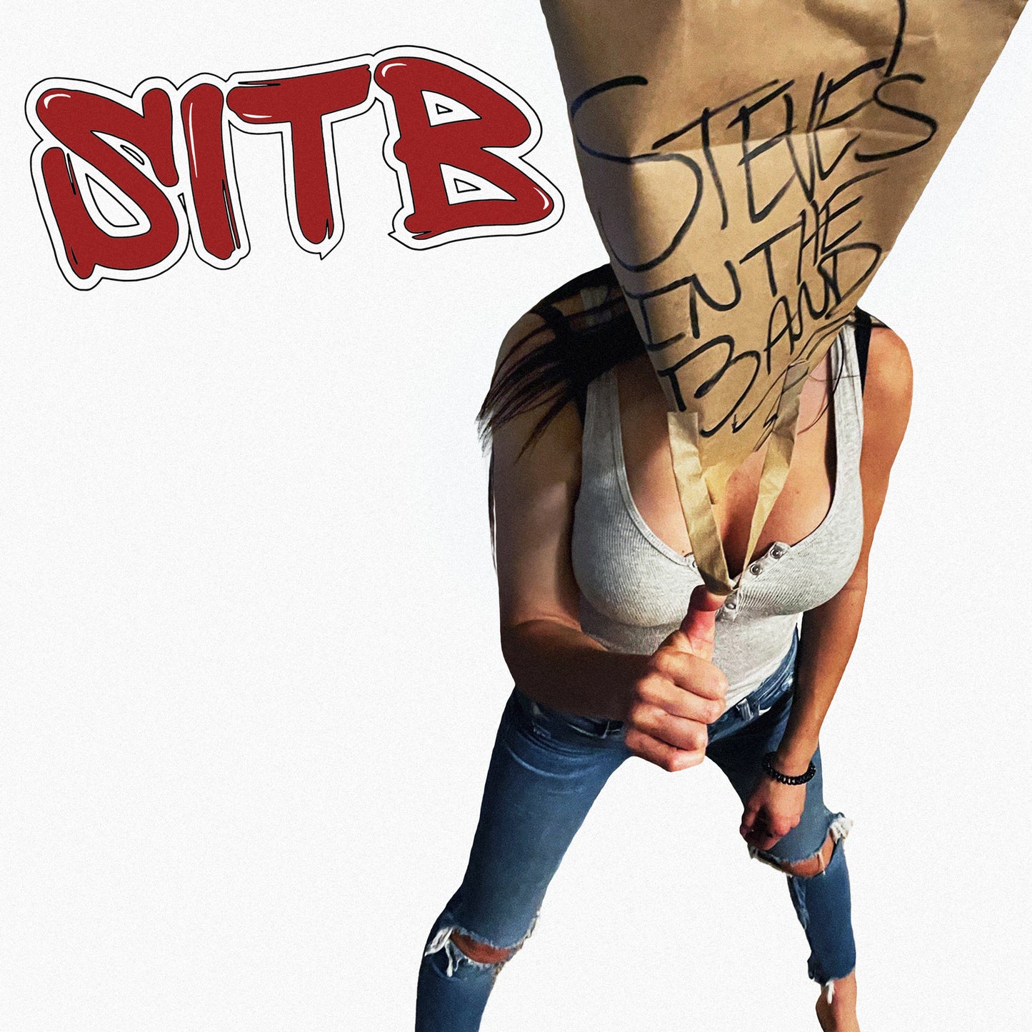 Steve's in the Band LP (14 tracks)